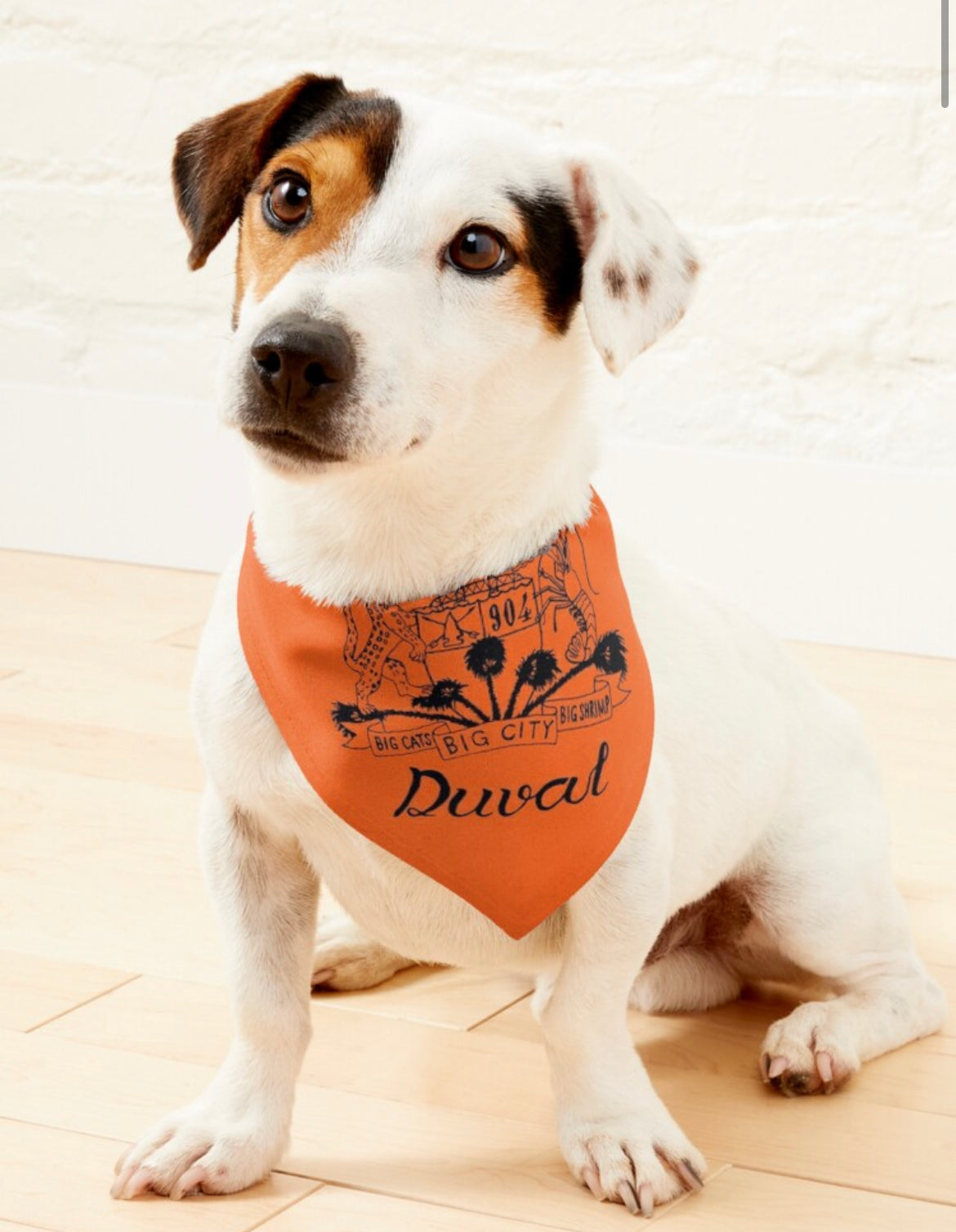 Bandana pour animaux de compagnie 