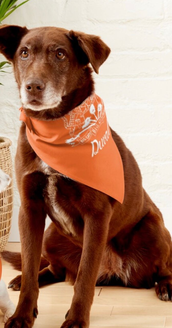 Bandana pour animaux de compagnie 